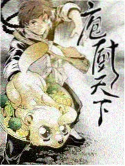 云龙地缝谷底栈道与两壁垂挂的石帘